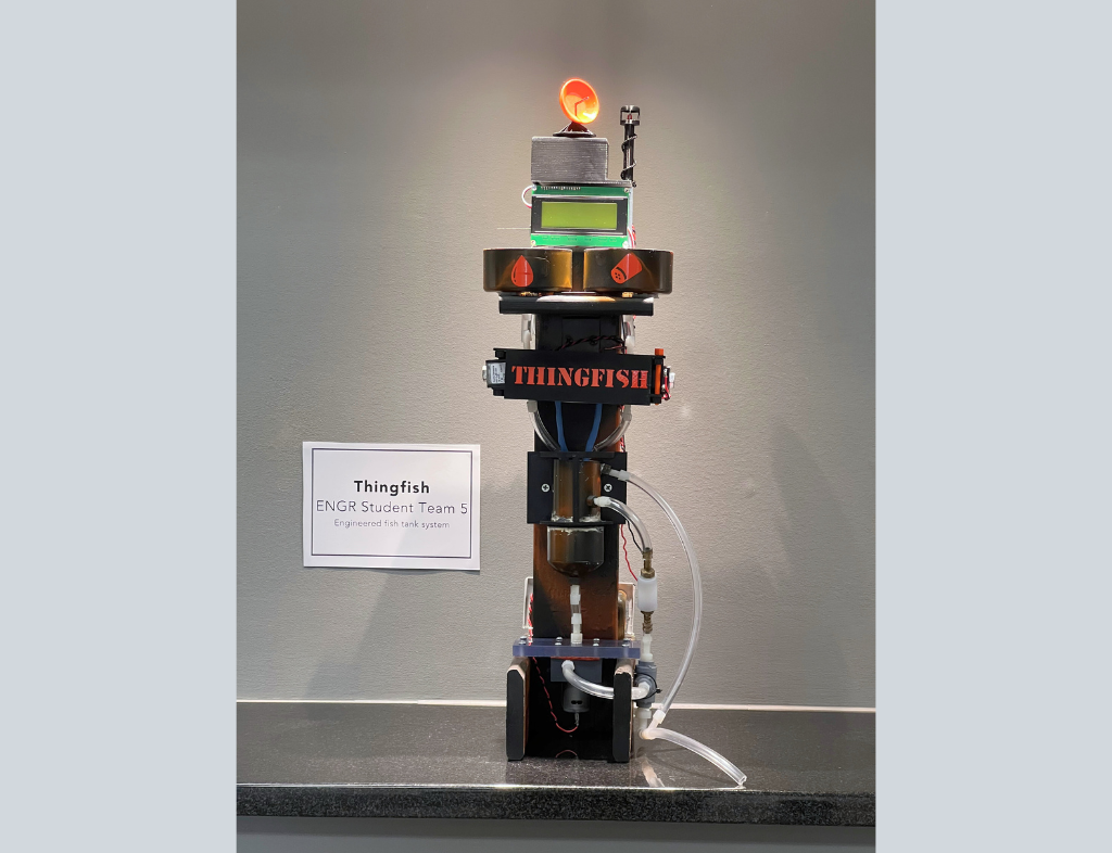 'Thingfish' by Engineering team 5 front view